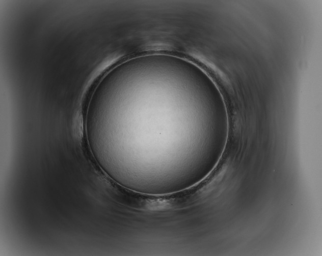 X0000100481317200806131222