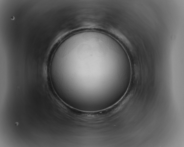 X0000100481318200806131222