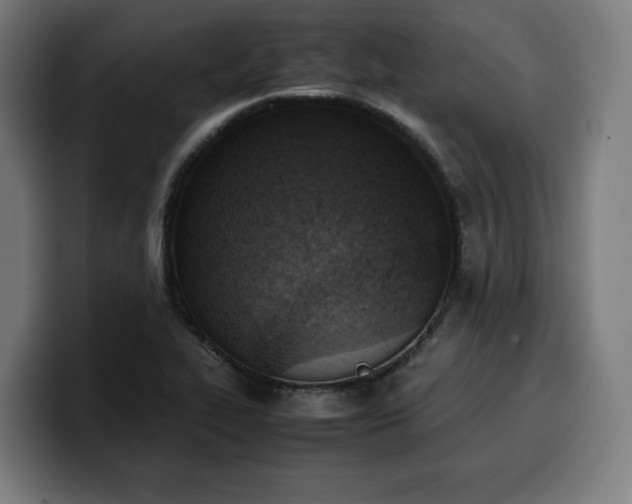 X0000100481319200806131222