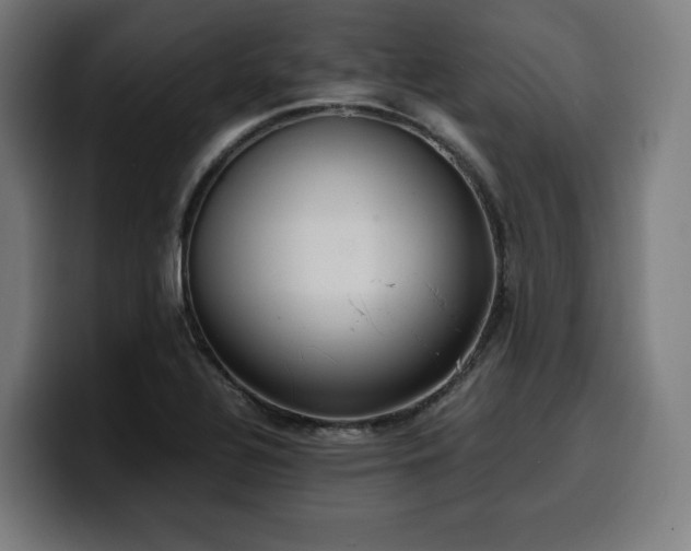 X0000100481320200806131222