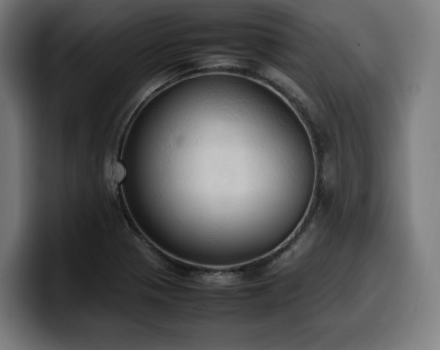 X0000100481321200806131222