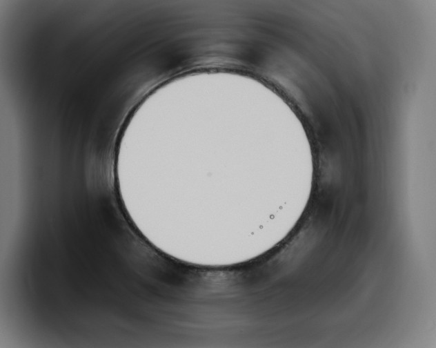 X0000100481322200806131222