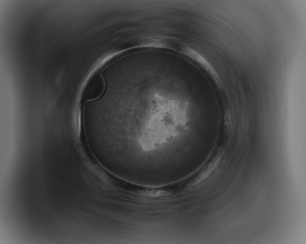 X0000100481323200806131222