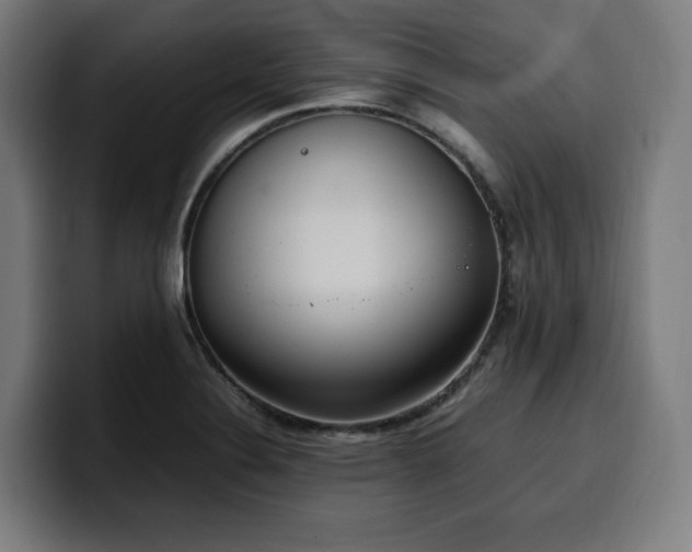X0000100481324200806131222