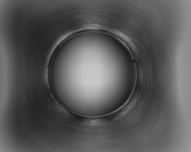 X0000100481326200806131222