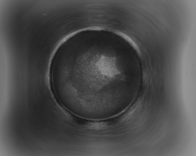 X0000100481327200806131222