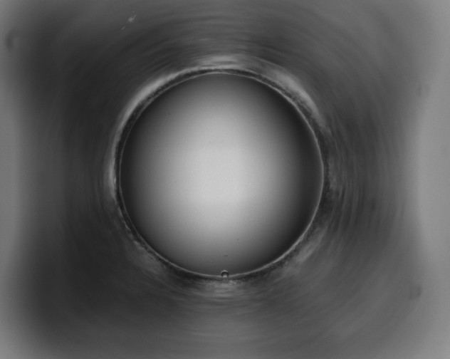X0000100481328200806131222