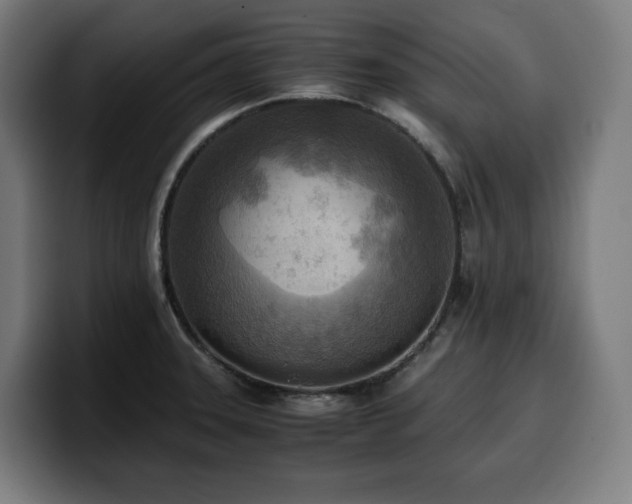 X0000100481331200806131222