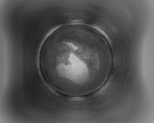 X0000100481333200806131222