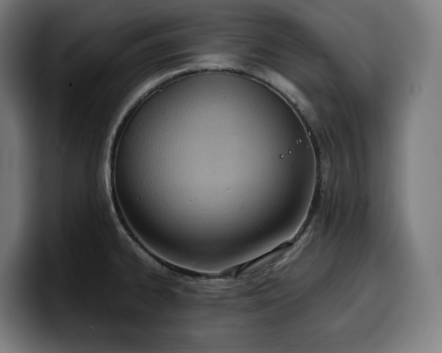 X0000100481334200806131222