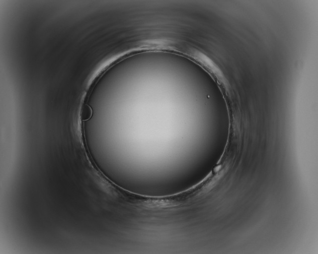 X0000100481336200806131222