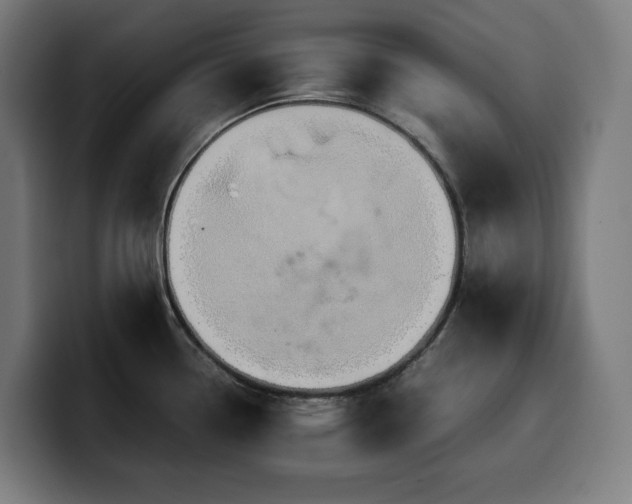 X0000100481338200806131222