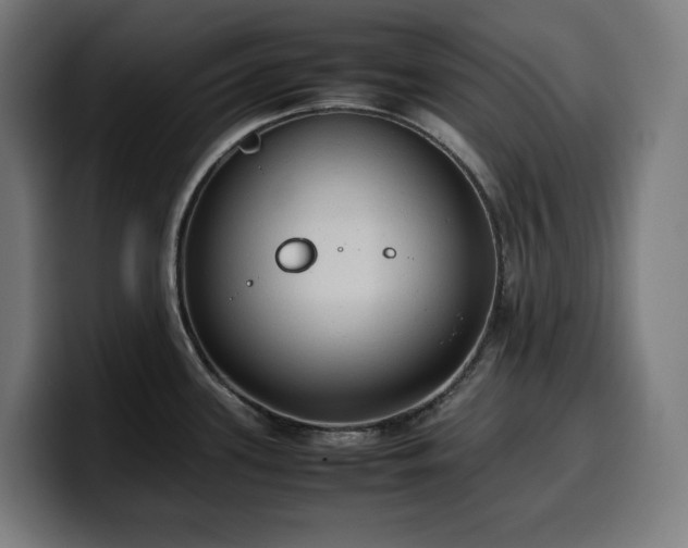 X0000100481339200806131222