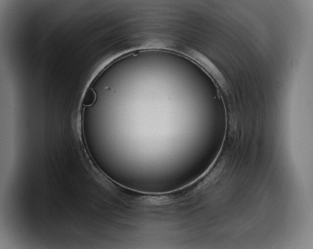 X0000100481340200806131222