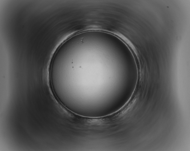 X0000100481341200806131222