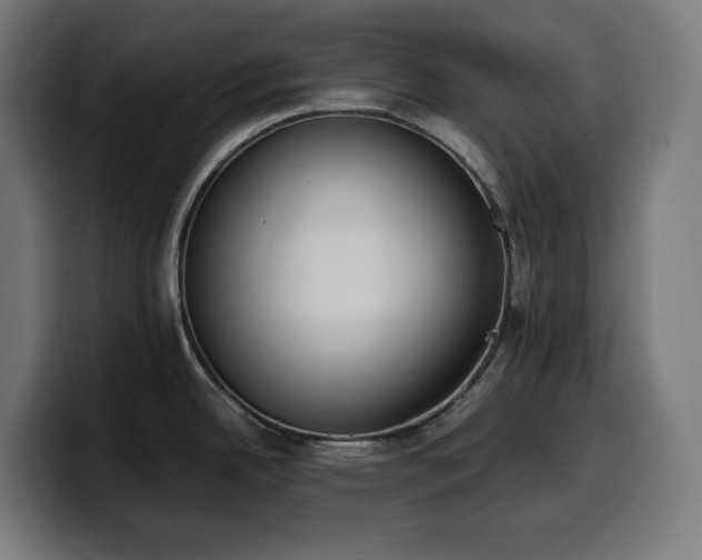 X0000100481342200806131222