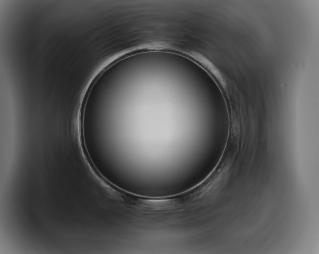 X0000100481343200806131222