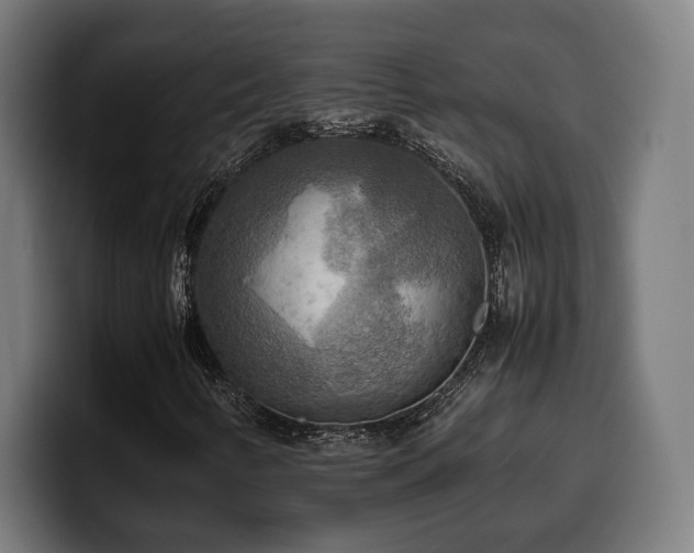 X0000100481346200806131222