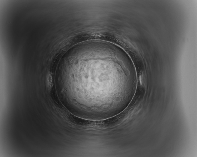 X0000100481347200806131222