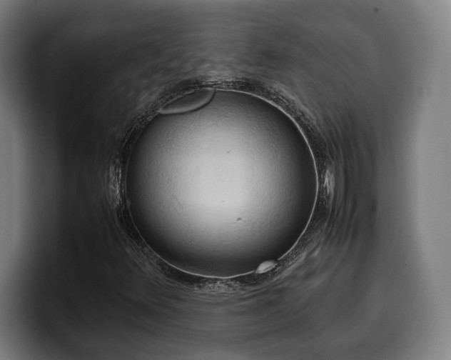X0000100481348200806131222