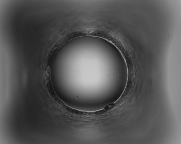 X0000100481349200806131222