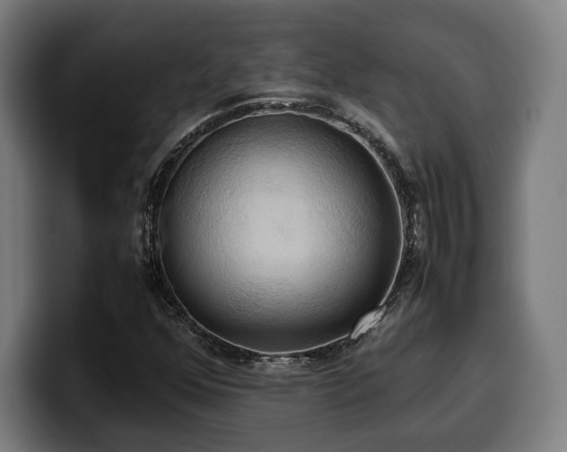 X0000100481352200806131222