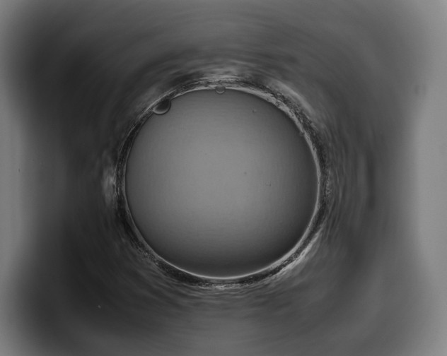 X0000100481353200806131222
