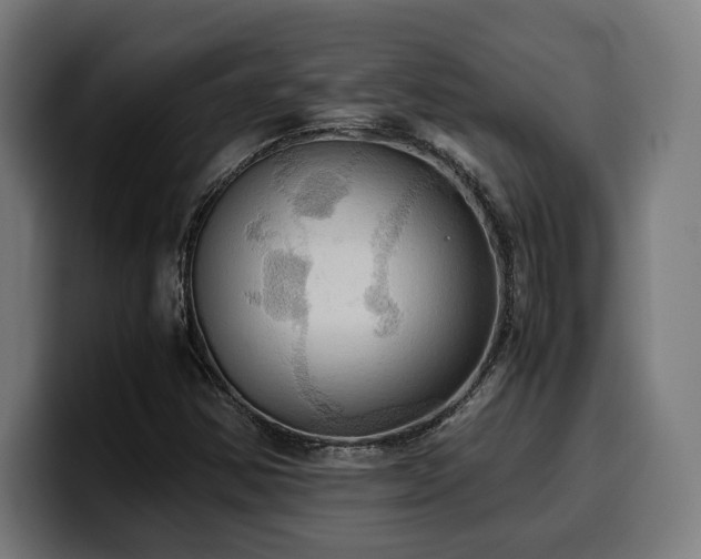 X0000100481354200806131222