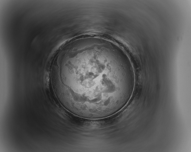 X0000100481355200806131222