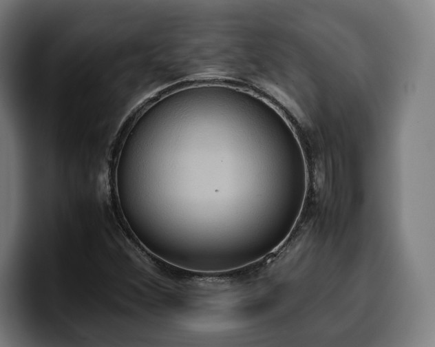 X0000100481356200806131222