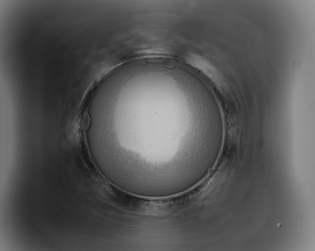 X0000100481357200806131222