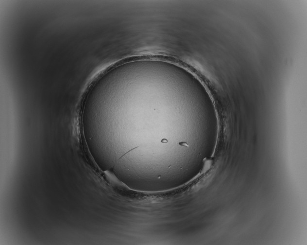 X0000100481358200806131222