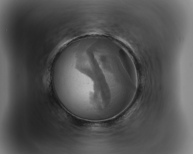 X0000100481359200806131222