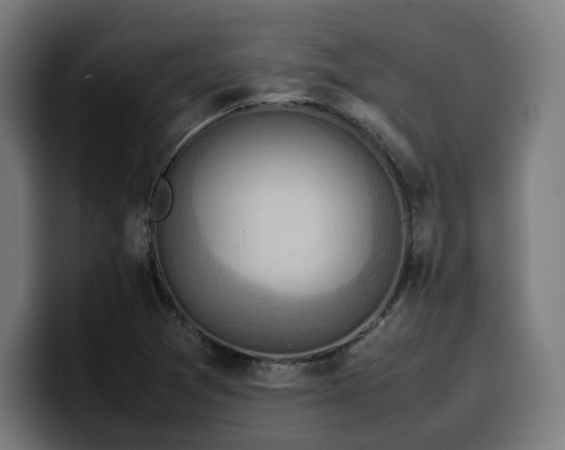 X0000100481361200806131222