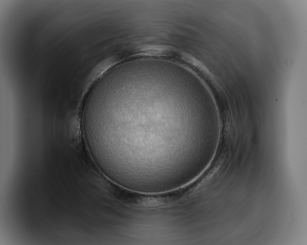 X0000100481362200806131222