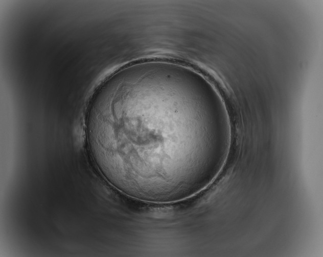 X0000100481363200806131222