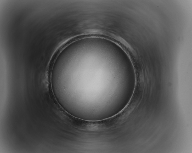 X0000100481364200806131221