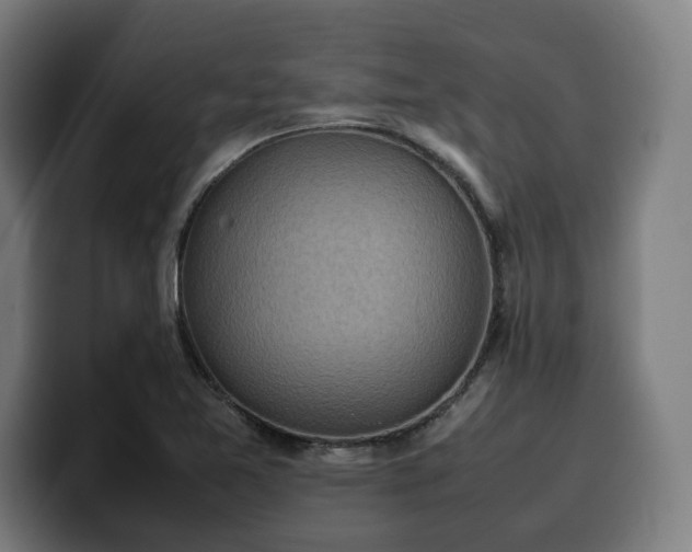 X0000100481365200806131221