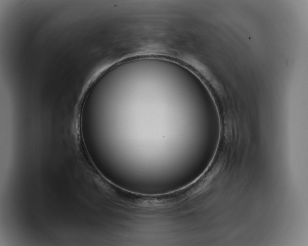 X0000100481366200806131221