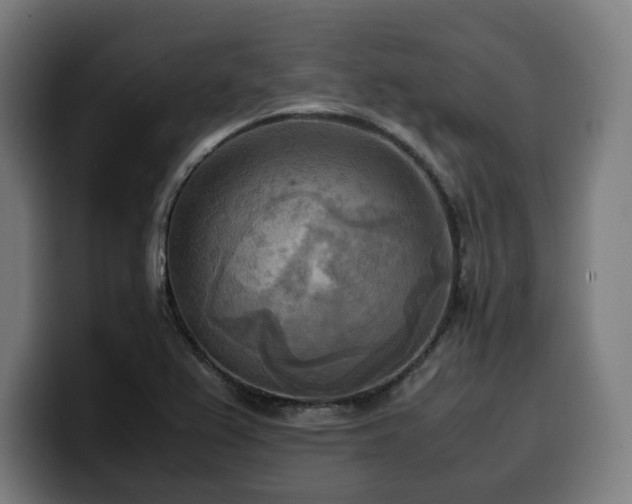 X0000100481367200806131221