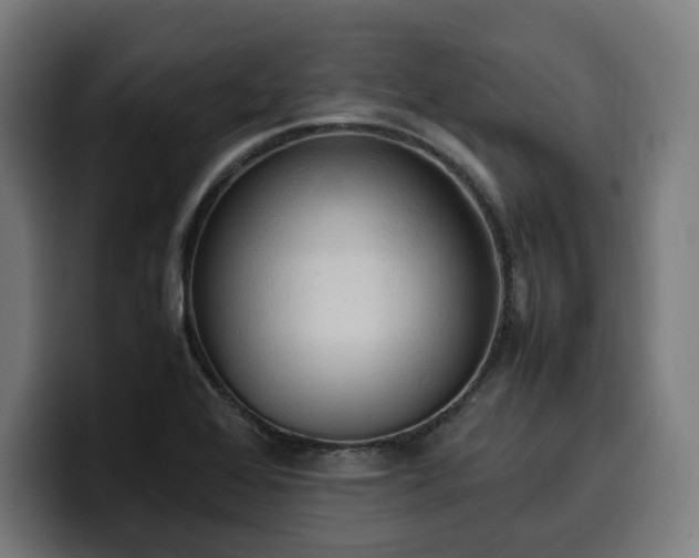 X0000100481368200806131221