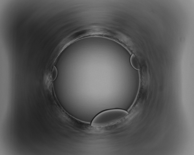 X0000100481369200806131221