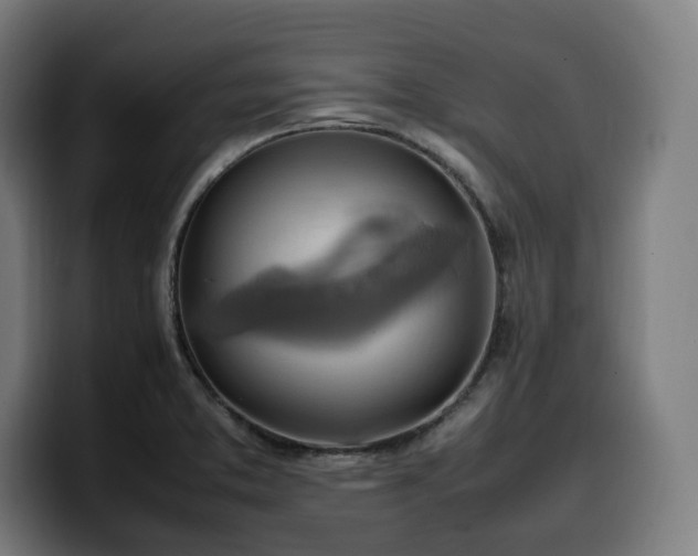 X0000100481373200806131221