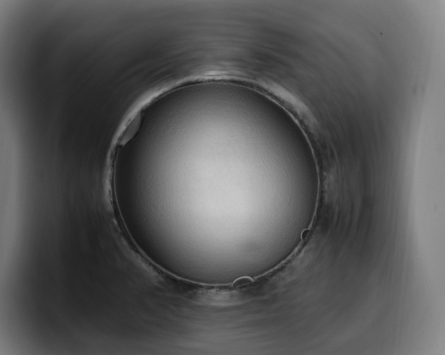 X0000100481374200806131221