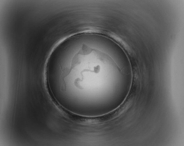 X0000100481375200806131221