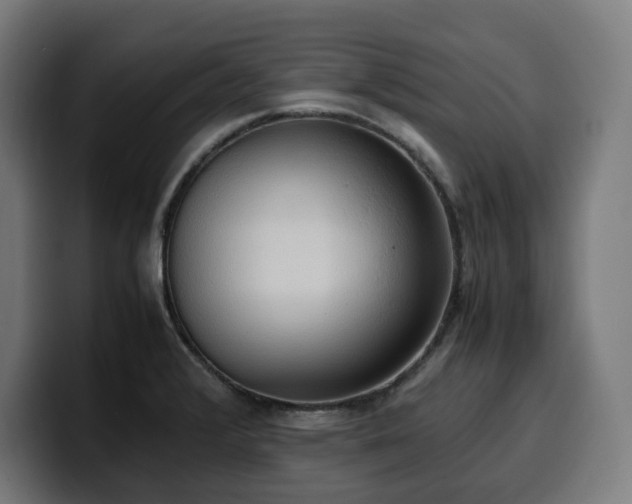X0000100481376200806131221