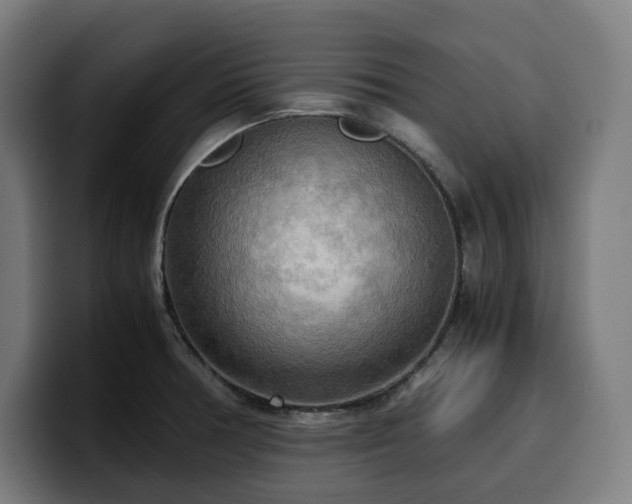 X0000100481378200806131221