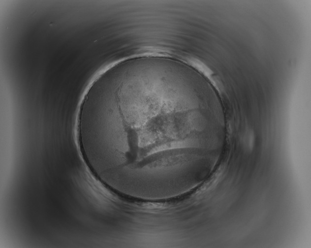 X0000100481379200806131221