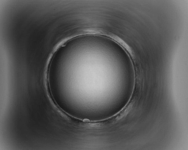 X0000100481381200806131221