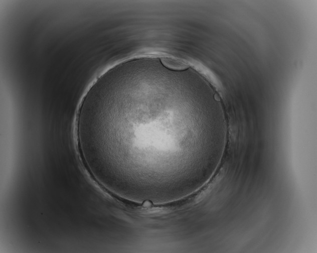 X0000100481382200806131221